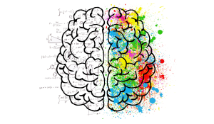 Neuroplasticity
