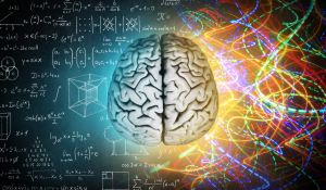 Neuroplasticity